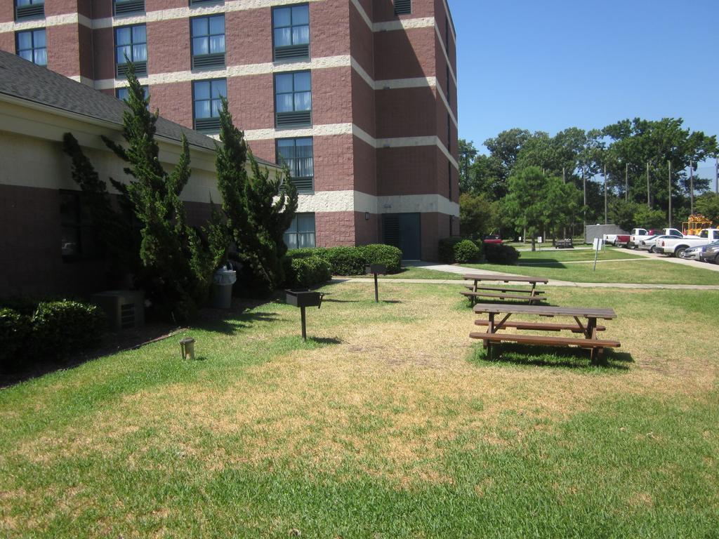 Sleep Inn Lake Wright - Norfolk Airport Exterior foto